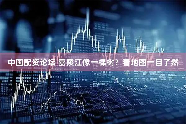 中国配资论坛 嘉陵江像一棵树？看地图一目了然